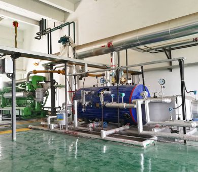 1000kW Biogas Engine Waste Heat Recovery Project
