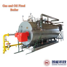 Low NOx Natural Gas Steam Boiler