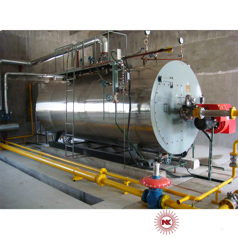 Low NOx Natural Gas Steam Boiler