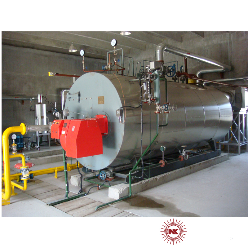 Low NOx Natural Gas Steam Boiler