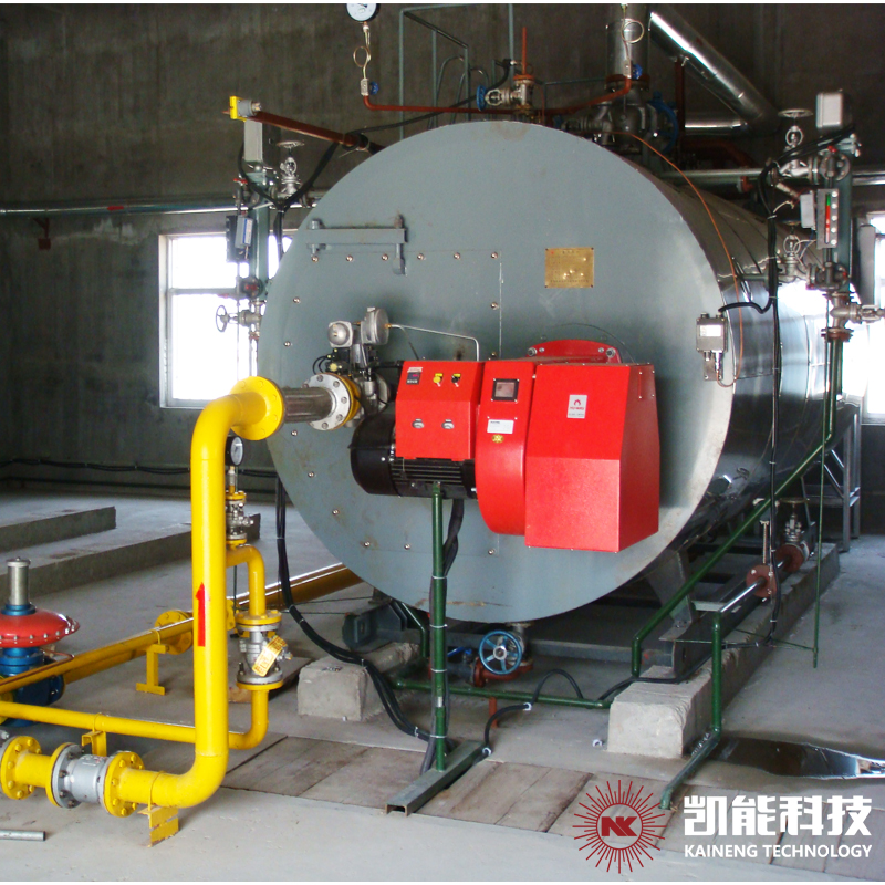 Low NOx Natural Gas Steam Boiler