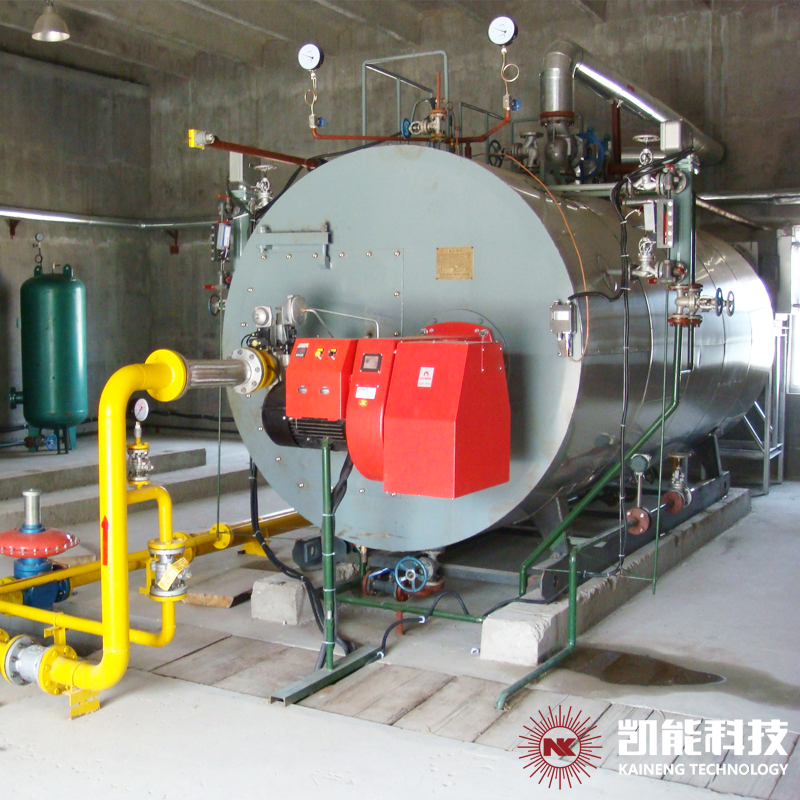 Low NOx Natural Gas Steam Boiler